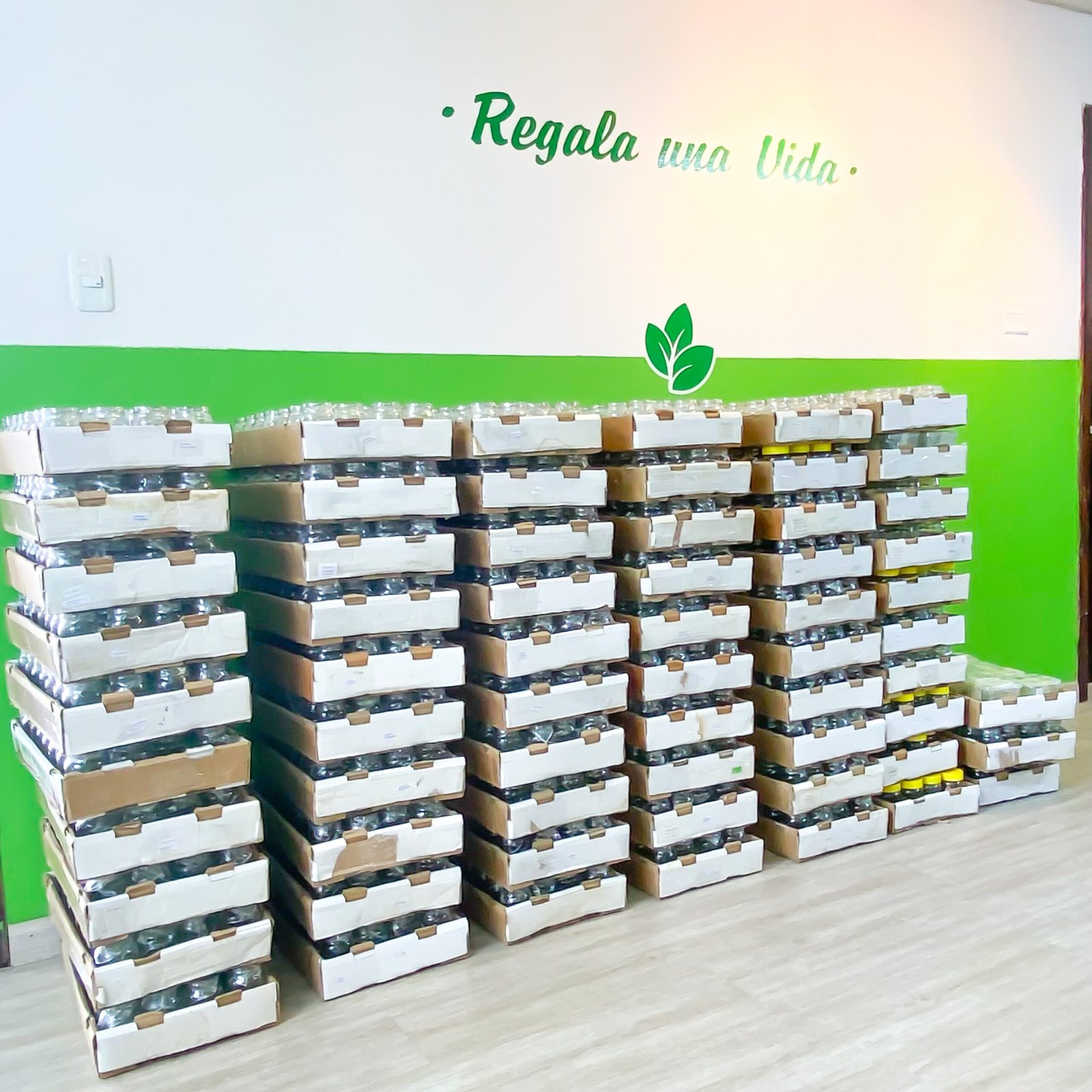 11 tecnologia de plantas leplants