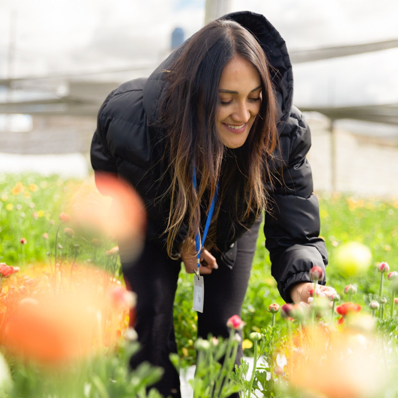 5 tecnologia de plantas leplants